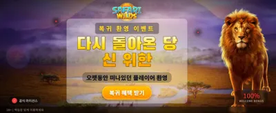 사파리 와일즈: 야생의 모험